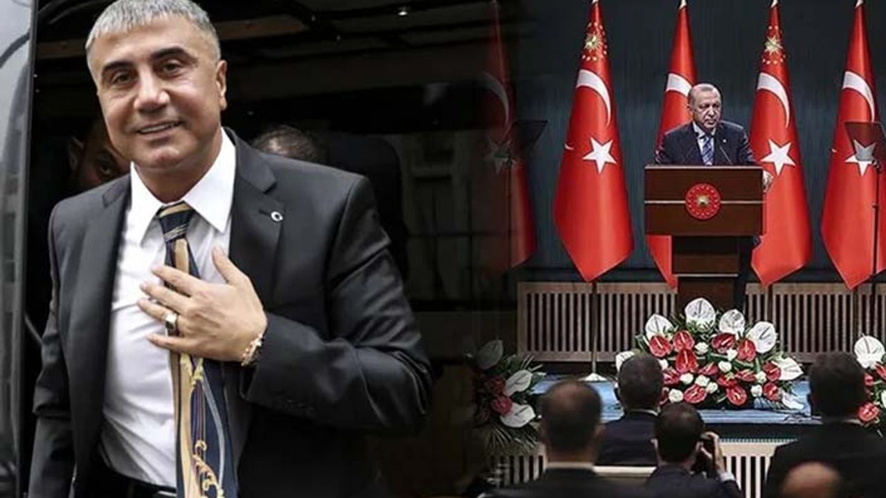 Erdoğan, Sedat Peker için ne dedi