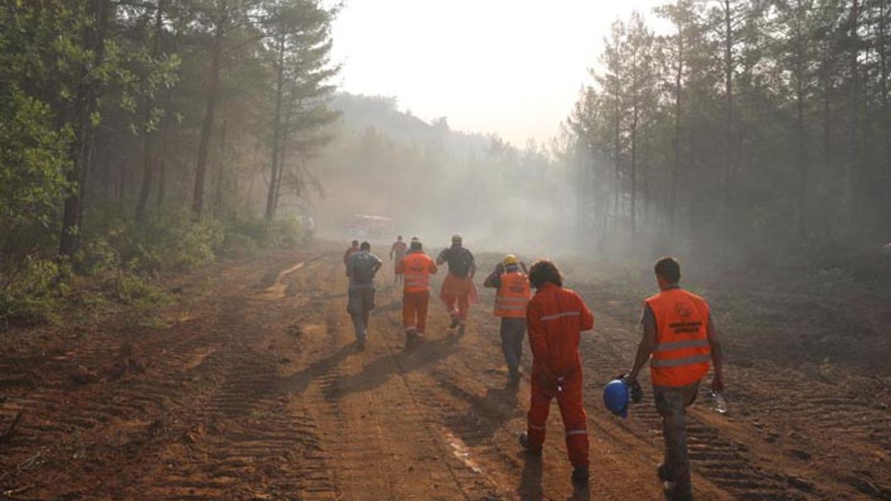 Mehmet Oktay: Yangın söndürüldü