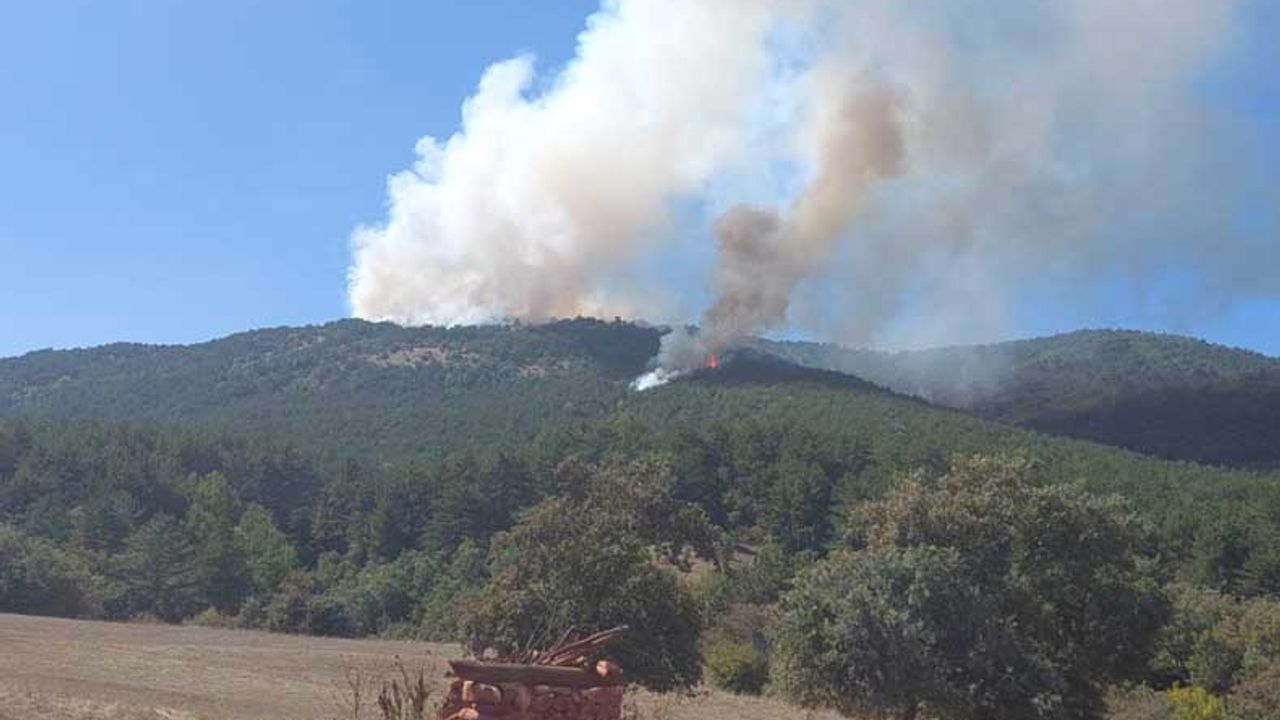 Eskişehir ve Balıkesir'de orman yangını
