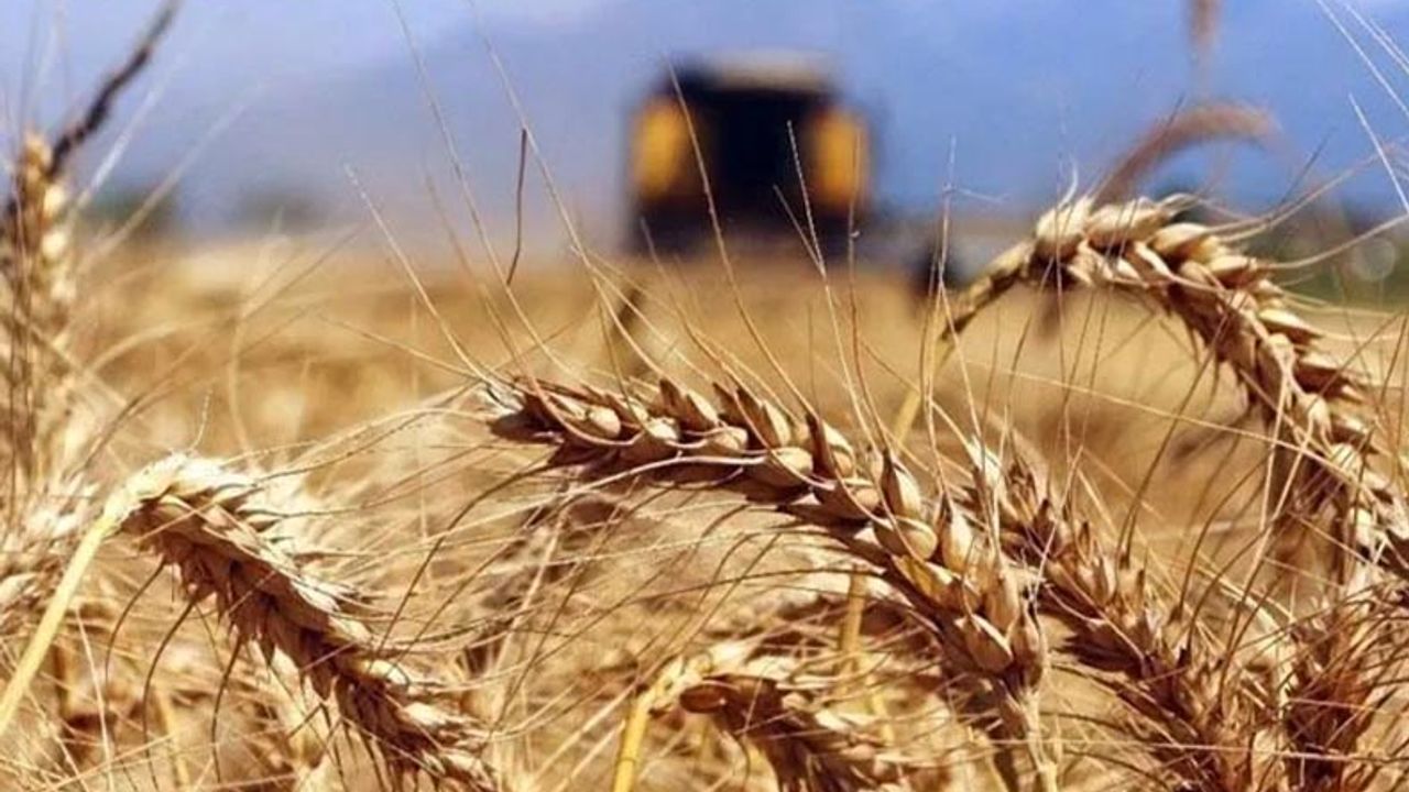 TMO buğday satışını durdurdu