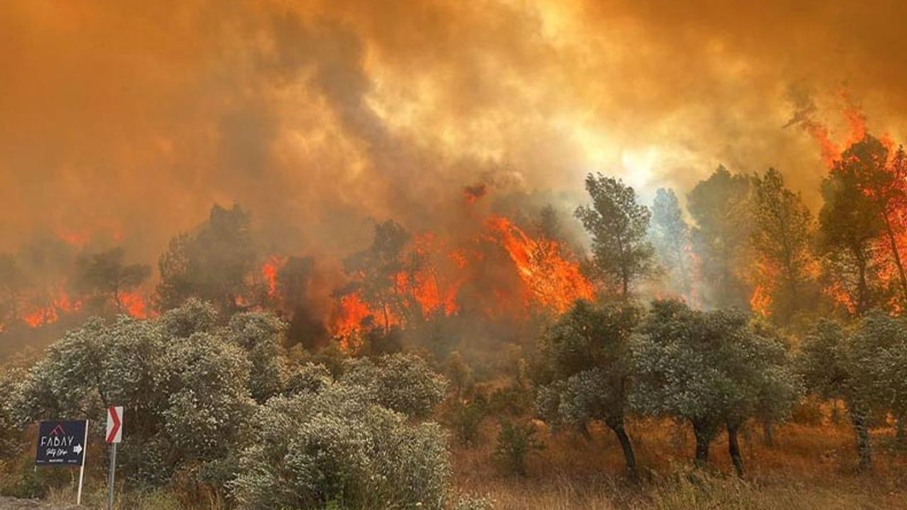 İzmir Gaziemir'de orman yangını