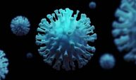 Coronavirüsün hücreye girişi
