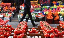 Domates ve meyve fiyatlarında rekor