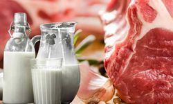 2023 başında et ve süt krizi kapıda