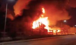 Tekirdağ'daki fabrikada büyük yangın