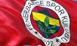 Fenerbahçe'den sevk tepkisi