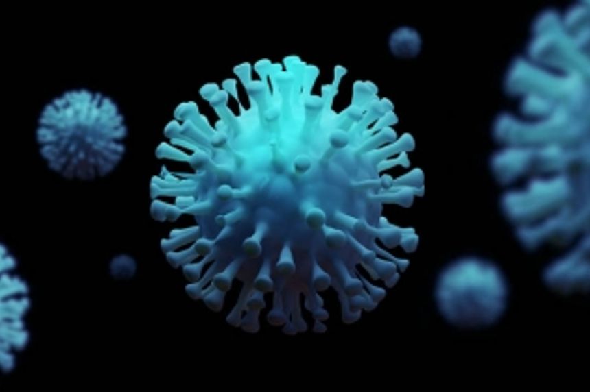 Coronavirüsün hücreye girişi